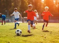 平博体育,资讯,平博体育官方,平博体育官方,平博体育在线官网,平博体育线上,平博体育APP