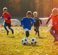 平博体育,资讯,平博体育官方,平博体育官方,平博体育在线官网,平博体育线上,平博体育APP