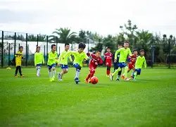 平博体育,产品,平博体育官方,平博体育官方,平博体育在线官网,平博体育线上,平博体育APP