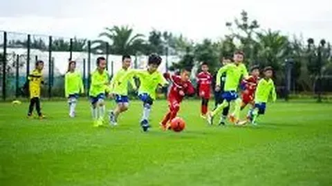 平博体育 产品 125202 8zq