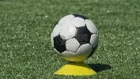 平博体育 资讯 125540 0jp