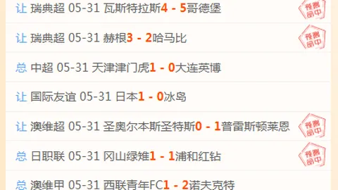 罗宾汉的传奇落幕：深度评测